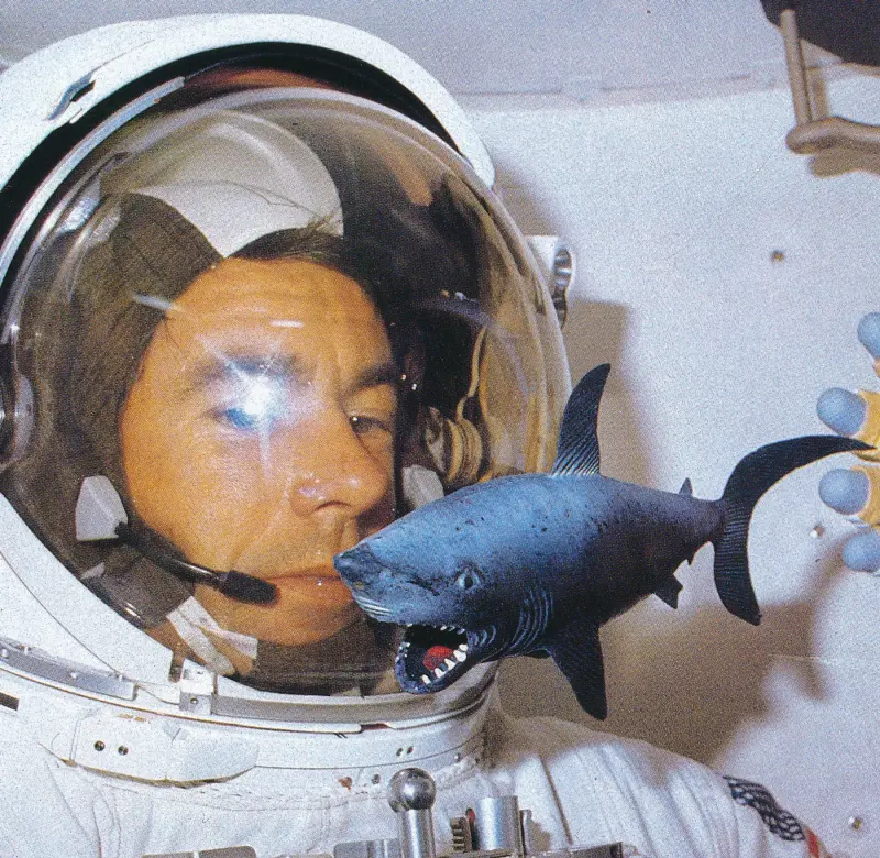 Space shark artwork