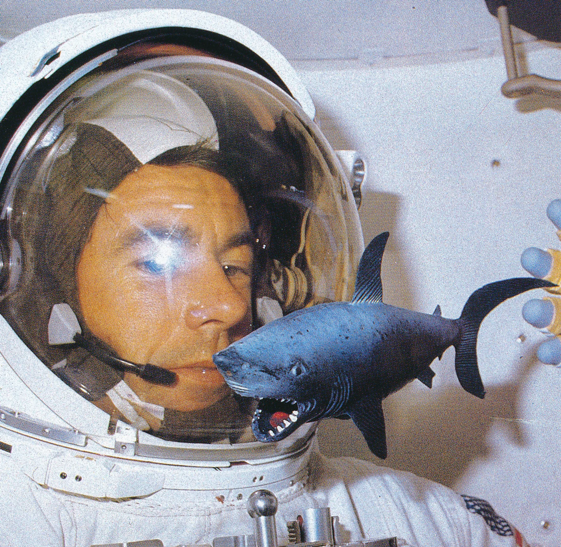 Space Shark